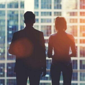 Reflective Silver 20i para interiores