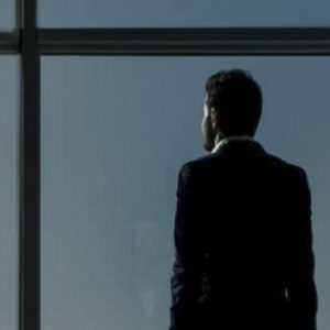 Reflective Silver 35i para interiores